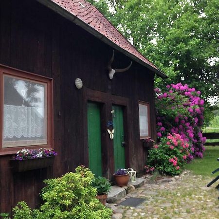Reiterhof Winandy Villa Wietzendorf Ngoại thất bức ảnh