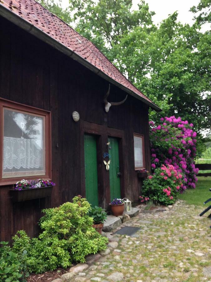 Reiterhof Winandy Villa Wietzendorf Ngoại thất bức ảnh