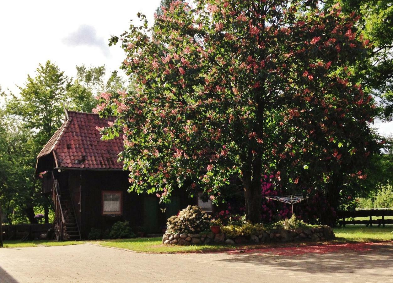 Reiterhof Winandy Villa Wietzendorf Ngoại thất bức ảnh